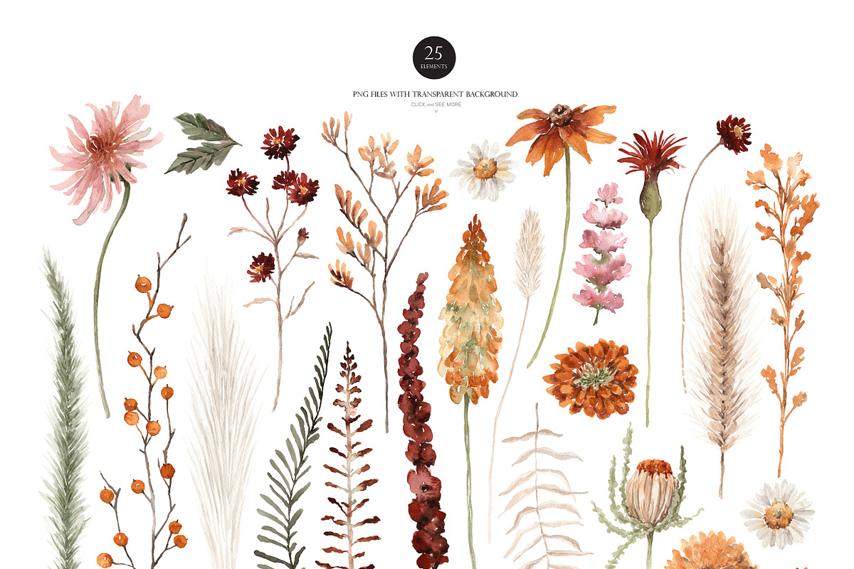Watercolor Flower - EMBER WILDFLOWER, an Illustration by Beigetime (Photo 3 of 14)