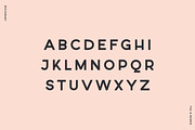 Fox and Bower, a Sans Serif Font by Creative Type (Thumbnail 4 of 6)