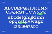 GC Regain - Display Bold Slab Serif, a Slab Serif Font by Glyphonic (Thumbnail 15 of 15)