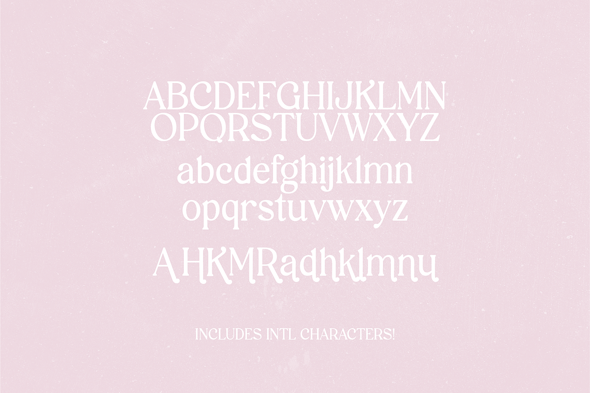 VINTAGE CHAMPAGNE Modern Serif Font, a Serif Font by Blush Font Co. (Photo 3 of 9)