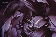 Velvet Peony Moody Floral Graphics, an Object Illustration by Eclectic Anthology (Thumbnail 16 of 16)