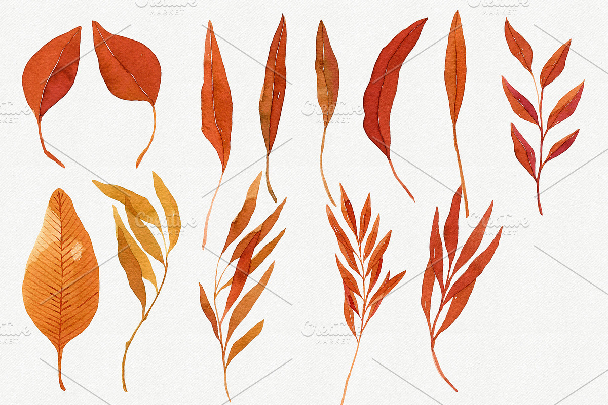 Watercolor Autumn Leaves Bundle, an Illustration by Helga Wigandt (Photo 13 of 18)