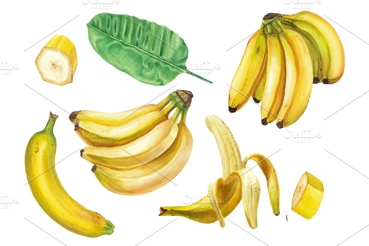 Watercolor banana set, a Pattern Graphic by lenavetka87 (Photo 1 of 3)