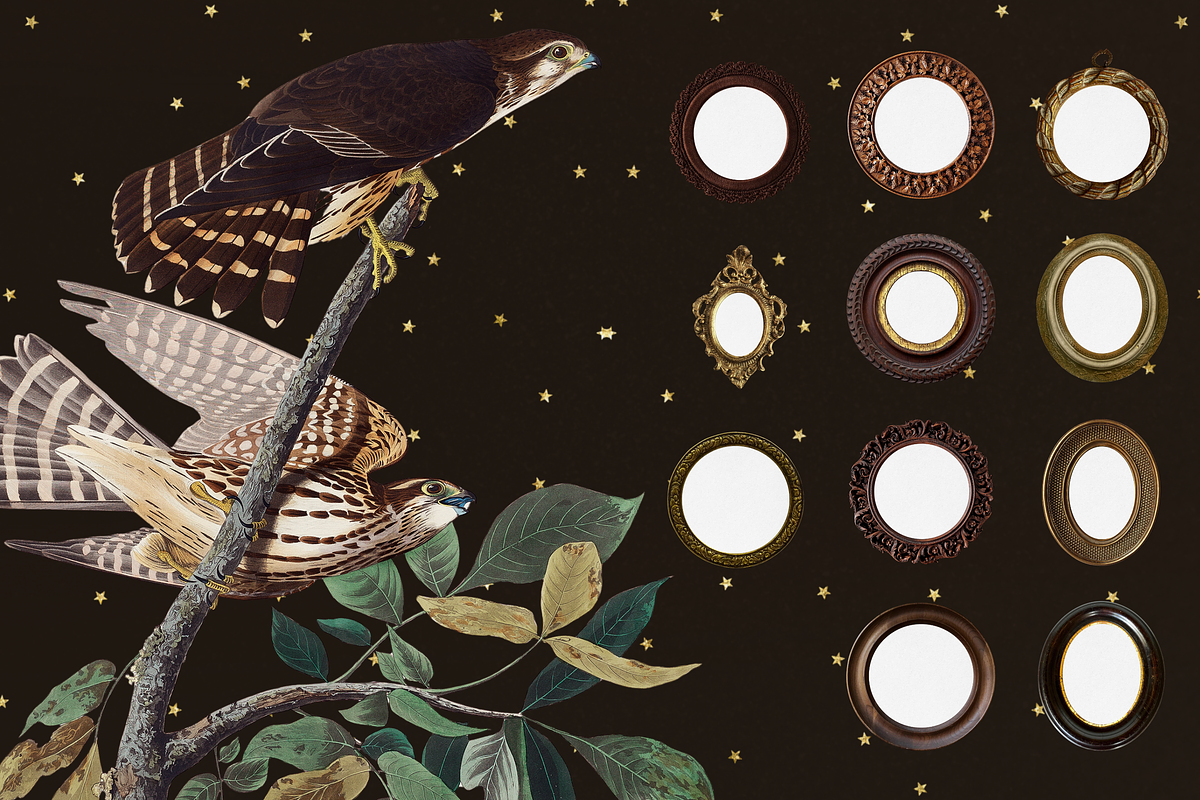 The Naturalist Social Media Bundle, a Social Media Template by The Flossy Finch (Photo 12 of 22)