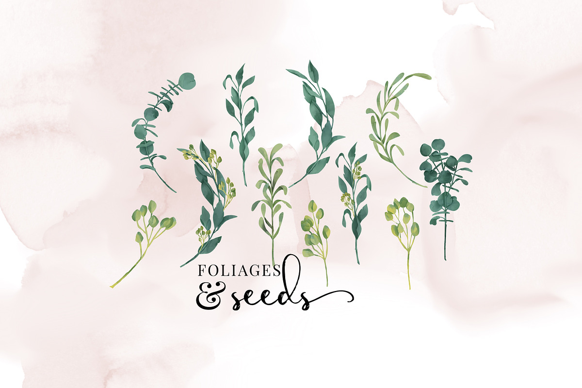 Watercolor flowers, Peony, botanical, an Illustration by Personal Epiphany (Photo 3 of 7)