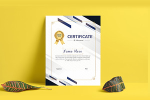 Professional Certificate Design