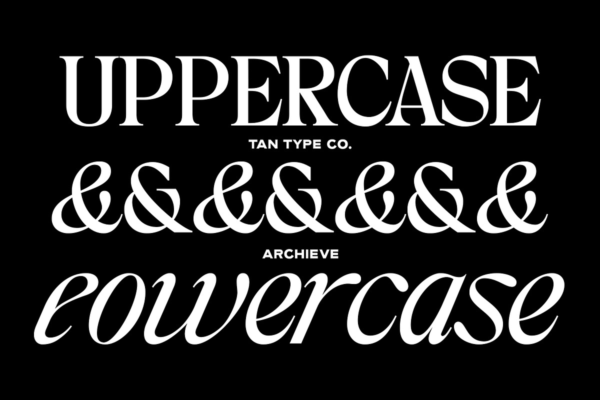 TAN - ARCHIEVE, a Serif Font by TanType (Photo 11 of 11)
