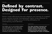 Flamor - Editorial Sans Serif Family, a Sans Serif Font by VP Fonts (Thumbnail 15 of 23)
