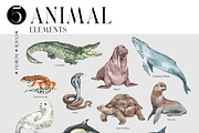 ANIMALS World Encyclopedia, an Animal Illustration by Anastezia Luneva (Thumbnail 8 of 14)