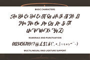 Retro Logo Font, a Script Font by Graphue (Thumbnail 10 of 10)