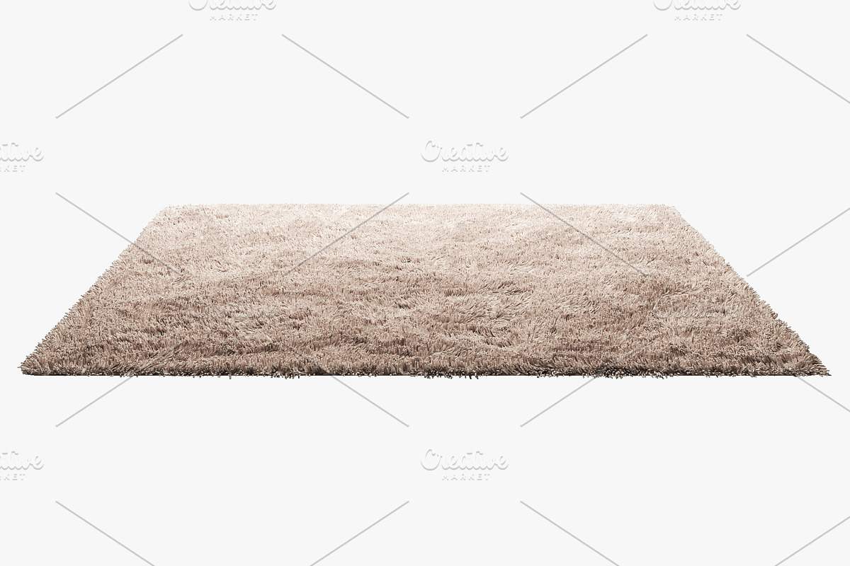 Carpets with long nap 3d model, a Furniture 3D Model by 3dmitruk (Photo 2 of 8)