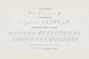 Fattrios Schudnel Chic Calligraphy, a Script Font by Storytype Studio (Thumbnail 12 of 13)