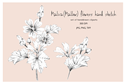 Malva (Mallow) Hand Sketches, an Object Graphic by VictoriaKStudio (Thumbnail 1 of 8)