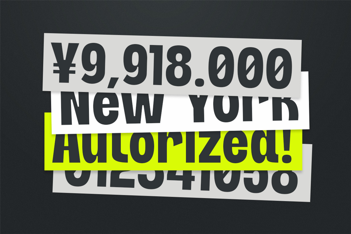 Neutralis Grotesk, a Sans Serif Font by Fargun Studio (Photo 2 of 15)