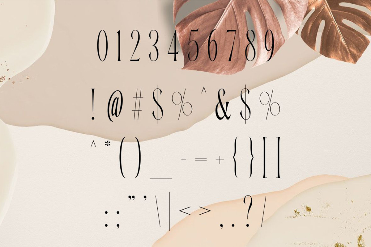 Carola | Modern Serif, a Serif Font by Muntab_Art (Photo 10 of 10)