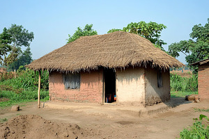 Traditional Indian village house during daytime with thatched roof and surround, an Architecture Photo by AlyaAnd