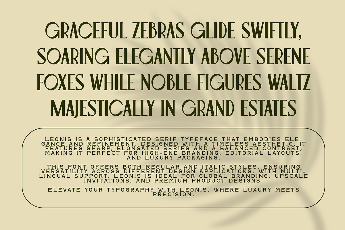 Leonis - Luxury Font, a Serif Font by Snape Design Studio (Photo 2 of 12)