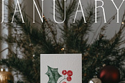 JANUARY Watercolor Winter Set, a Seasonal Illustration by Kaleriia (Thumbnail 2 of 15)