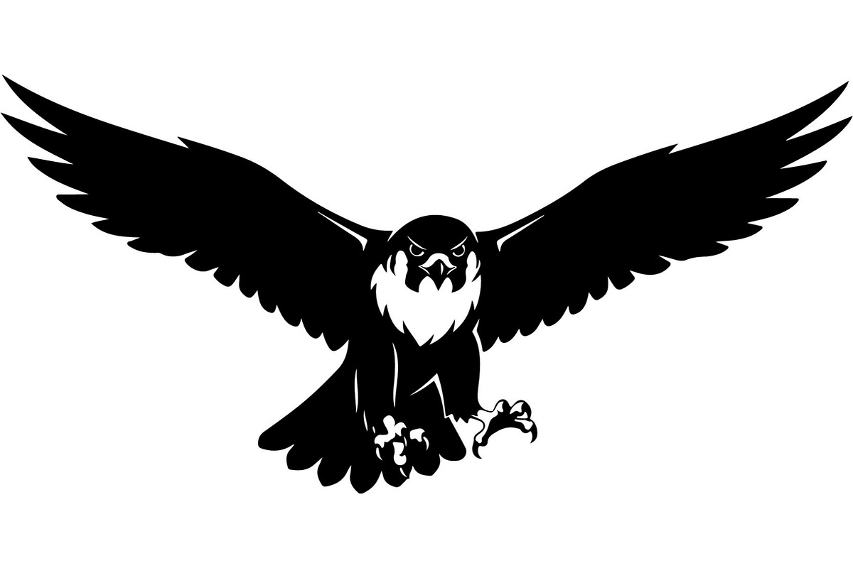 Bird Silhouettes Flying Sideways, an Animal Illustration by Designer_Momina (Photo 21 of 21)