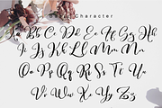 Hello Martha // Elegant Script Font, a Script Font by Aldedesign (Thumbnail 11 of 12)