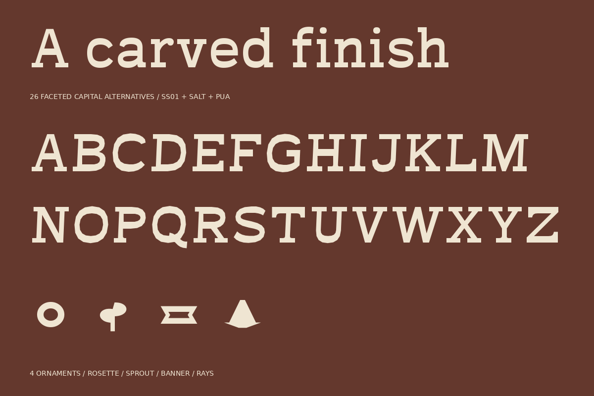 Terra Fable Sculpted Slab Serif, a Slab Serif Font by Colorsfav (Photo 10 of 11)