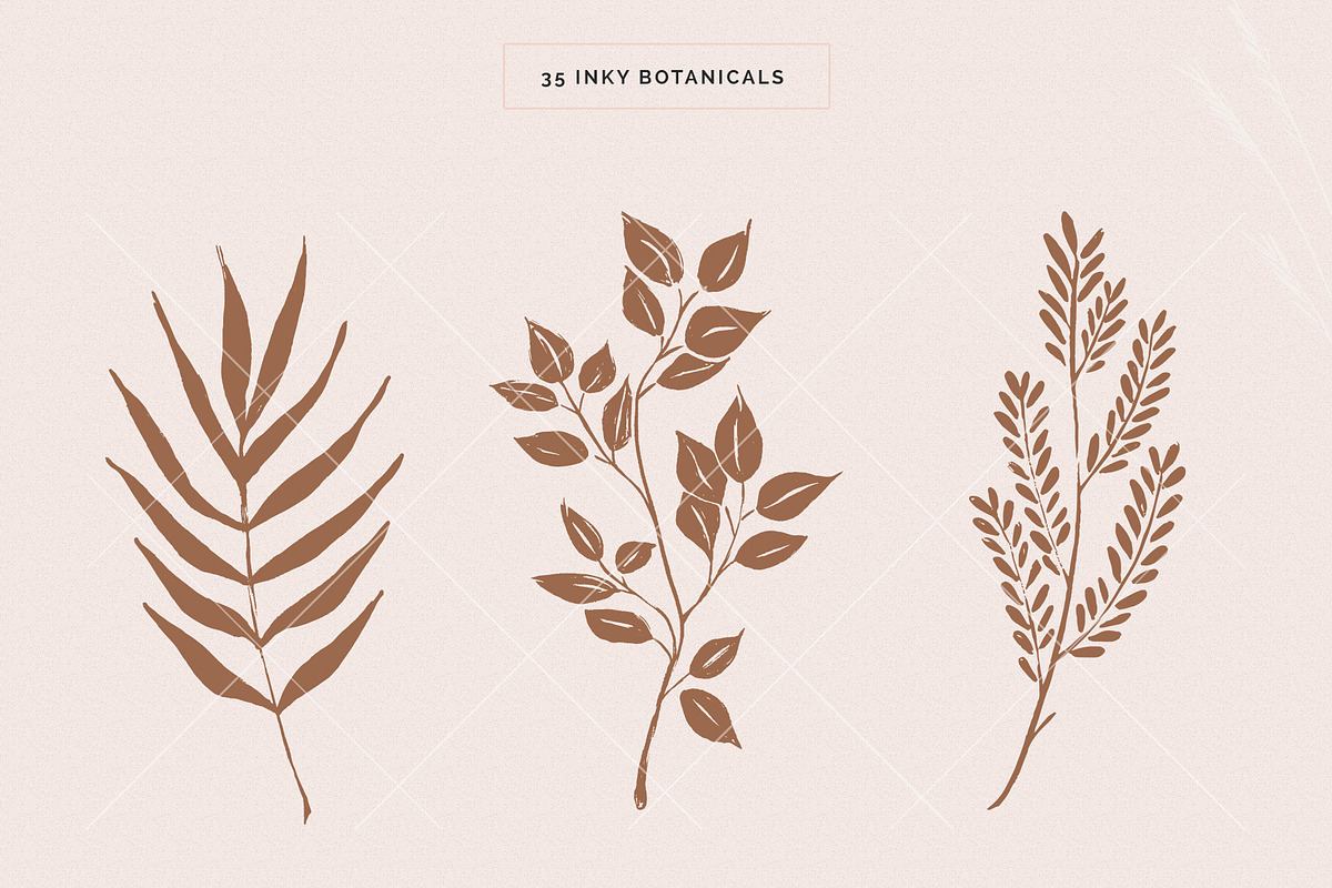 Organic Botanicals & Logo Designs, an Illustration by amber&ink (Photo 4 of 17)