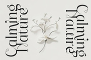 Sainer Bagora Modern Serif, a Serif Font by timelesstype.co (Thumbnail 19 of 20)