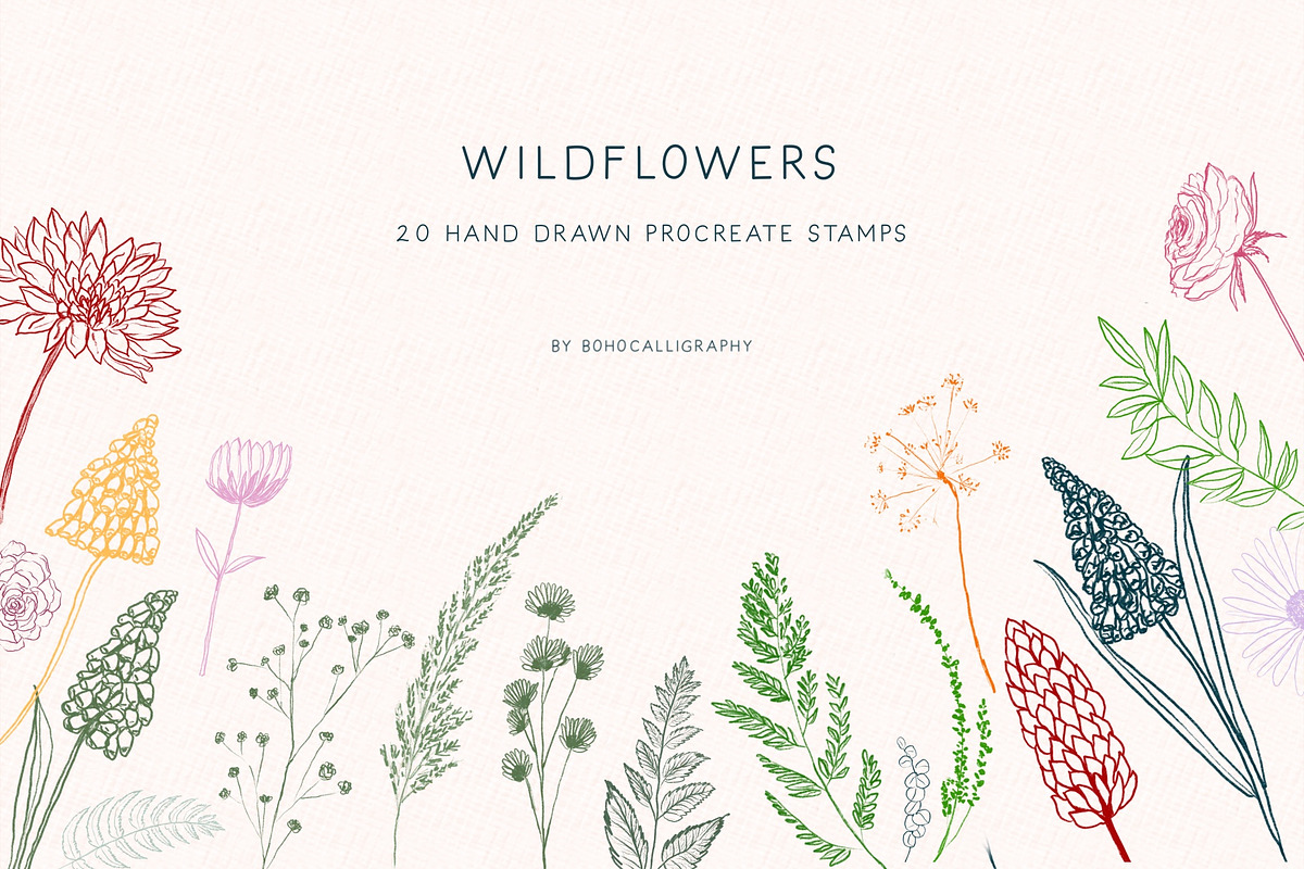 Wildflowers Procreate Stamps, a Brush Add-On by BohoCalligraphy (Photo 1 of 9)