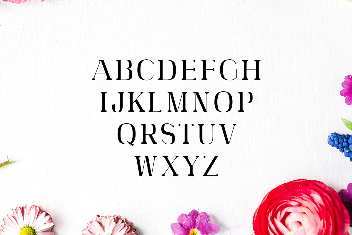 Adie High Class Serif 4 Font Family preview 2