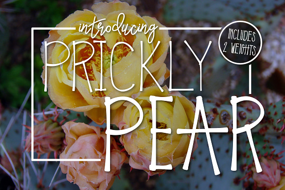 Prickly Pear a Handwritten Typeface preview 4