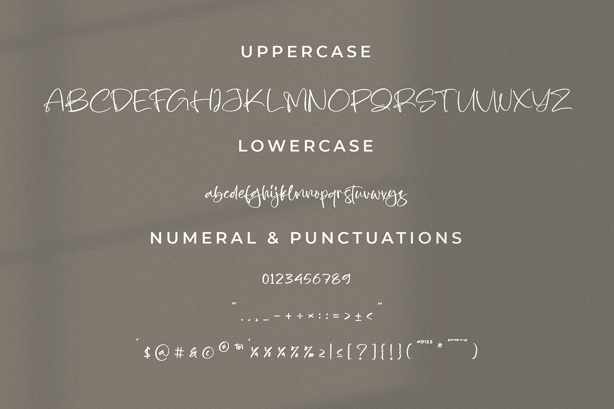 Quinttesa, a Script Font by Integritype Studio (Photo 9 of 15)