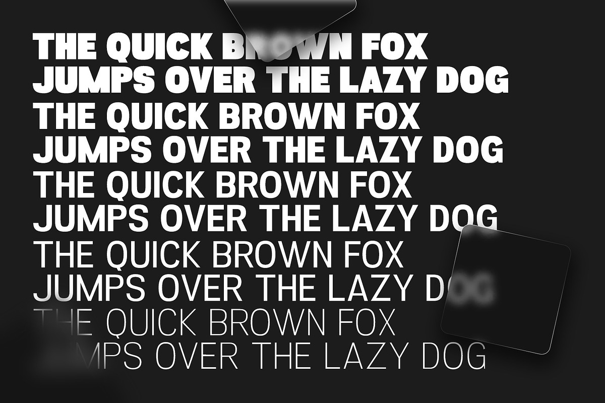 Selima, a Sans Serif Font by din-studio.com (Photo 13 of 14)