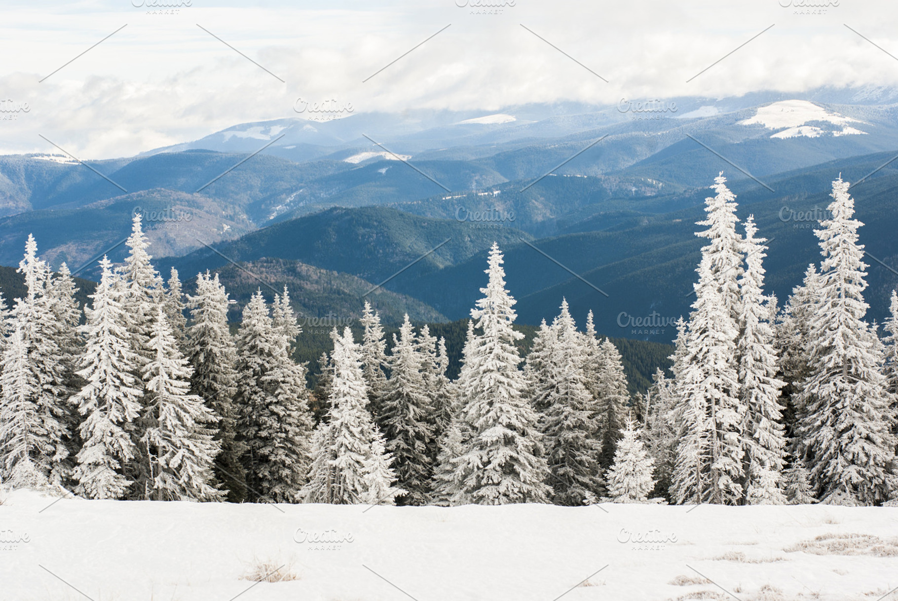 White forest and mountains, a Nature Photo by Inna Vinchenko Designs