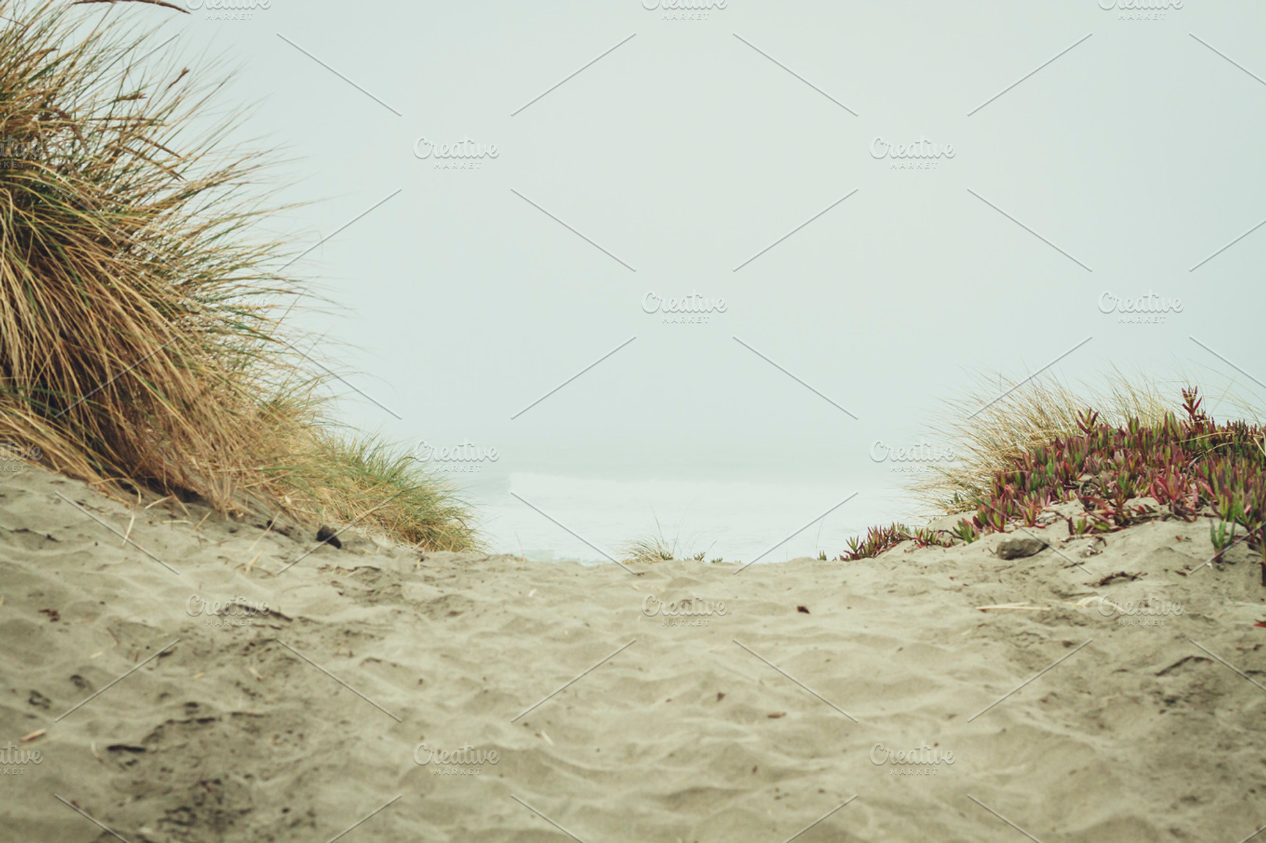 At the beach stock photo containing path and beach