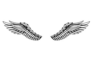 Wings sketch. Stylized birds, an Object Illustration by Things for designers