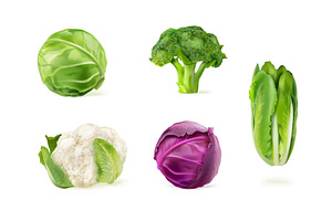 Realistic cabbages. 3d white cabbage, a Food Illustration by Stock-Smart-Start