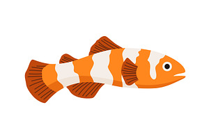 Aquarium fish. Beautiful underwater, an Animal Illustration by the8monkey