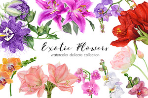 Exotic Flowers