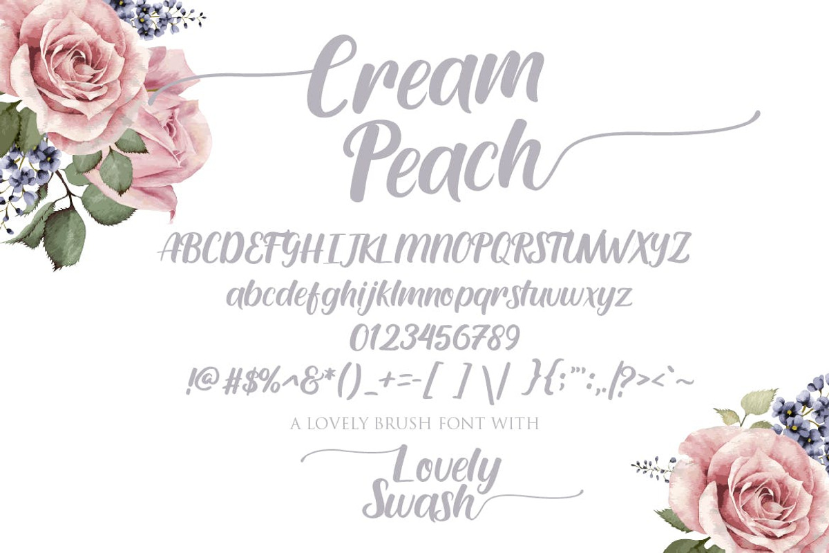 Cream Peach Brush Font preview 4