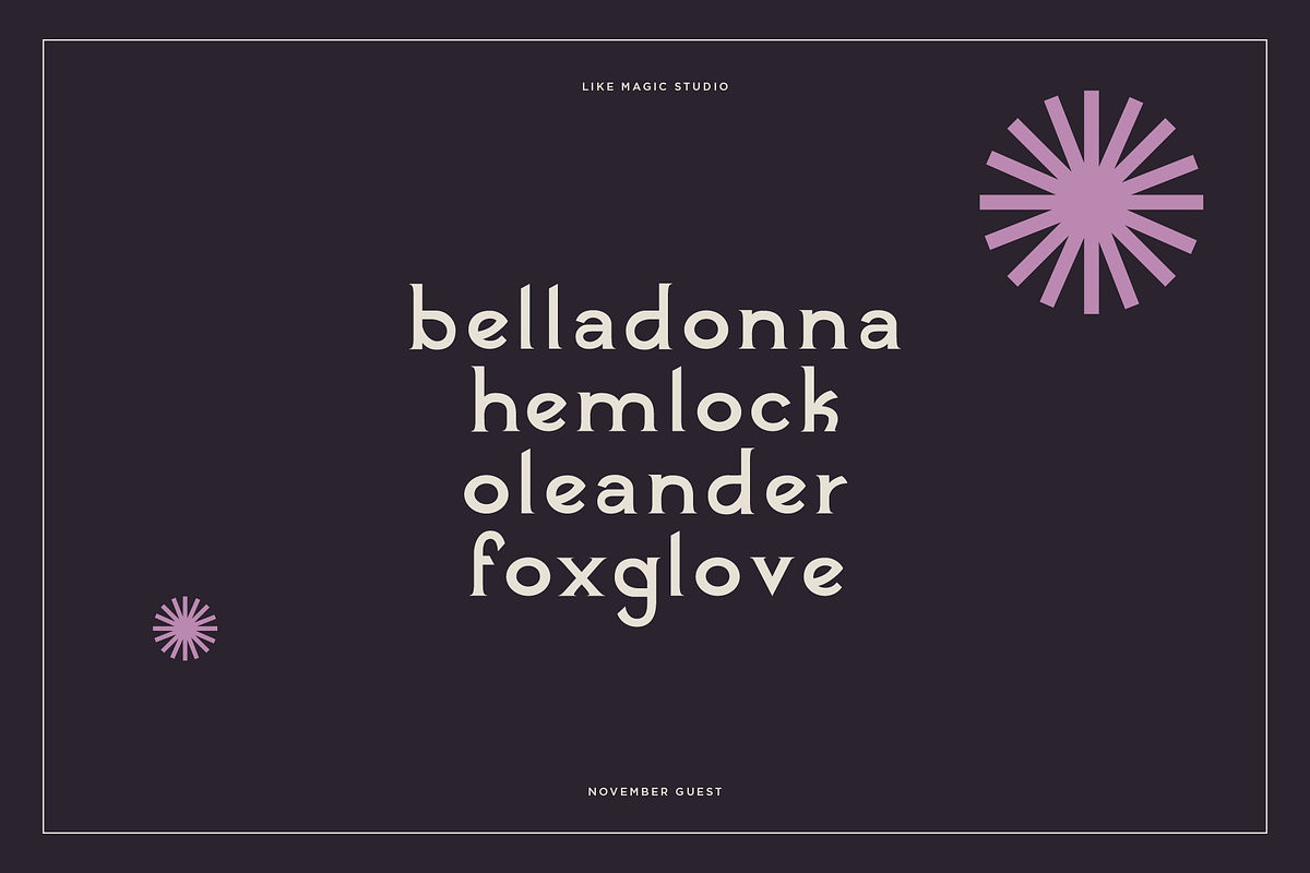 November Guest - An Edgy Serif, a Serif Font by Like Magic Studio (Photo 7 of 10)
