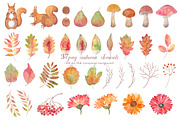 Autumn collection elements, an Illustration by BrushArtDesigns (Thumbnail 2 of 3)