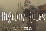 Bigelow Rules Pro, a Serif Font by Stiggy & Sands (Thumbnail 1 of 5)