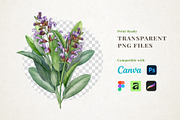 Herbal Apothecary Brand Kit, a Healthcare Illustration by AnitaPol (Thumbnail 5 of 18)