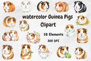 Watercolor Guinea Pigs Clipart, an Animal Illustration by BerryPieArt (Thumbnail 1 of 4)