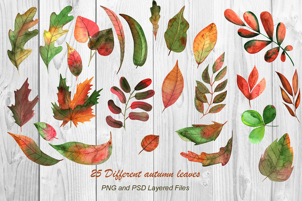Watercolor Autumn Leaves, an Illustration by TanataDesign (Photo 2 of 6)
