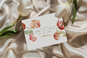 SPRING BOX Watercolor Bundle 400+, a Decorative Illustration by Muse Artist (Thumbnail 9 of 99)