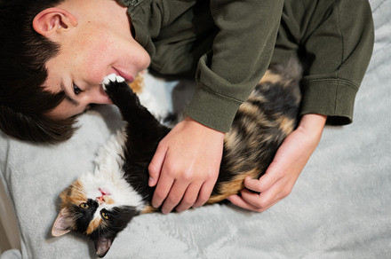 Teenager boy with kitty lying on the sofa. Children's love for p, an Animal Photo by AS photostudio
