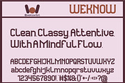 Observant and Aware font, a Sans Serif Font by weknow (Thumbnail 5 of 8)