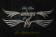Raven Script, a Script Font by Mikrojihad Typography (Thumbnail 6 of 6)