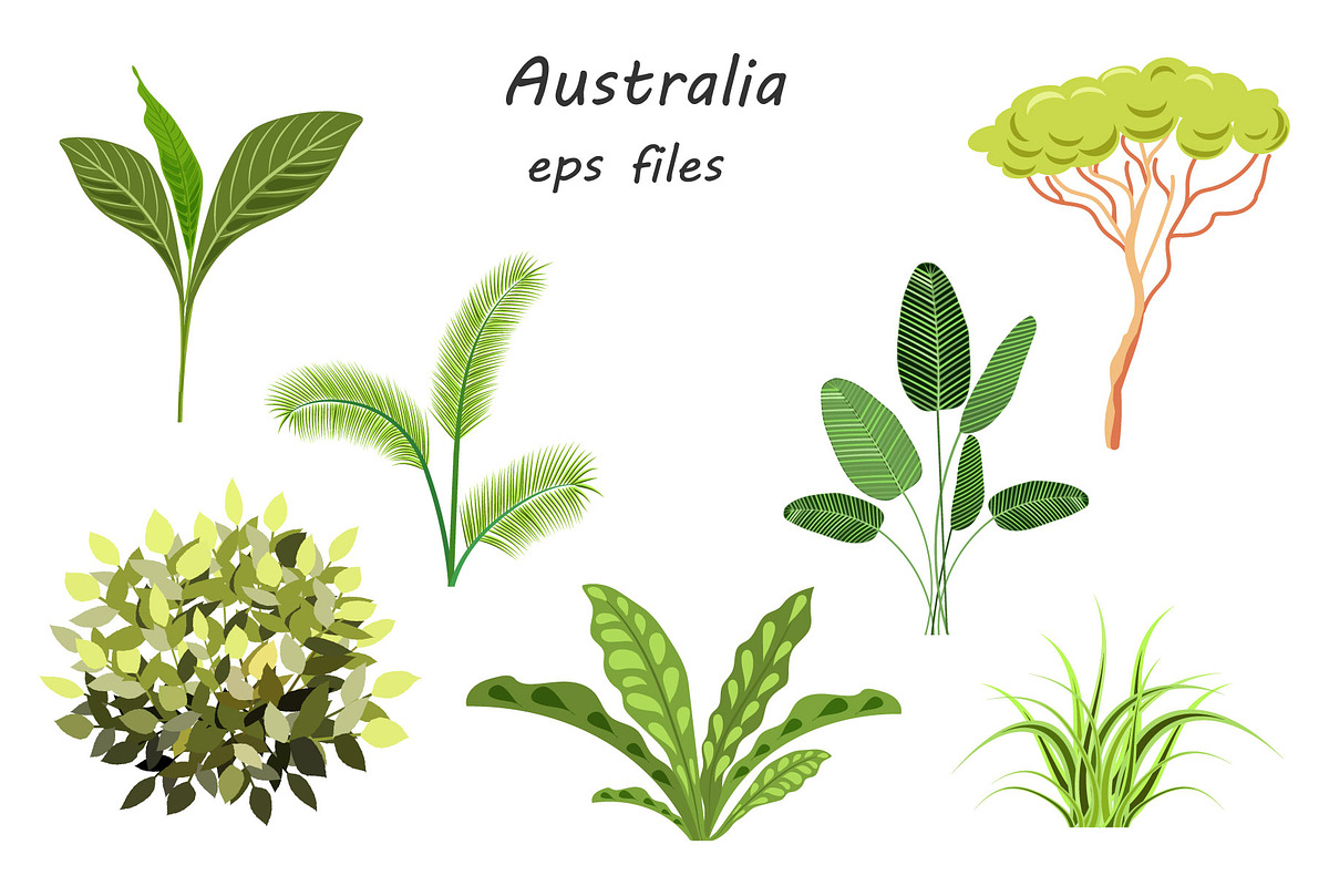 Australian Animals, an Animal Illustration by ViсkyArtDesign (Photo 6 of 10)